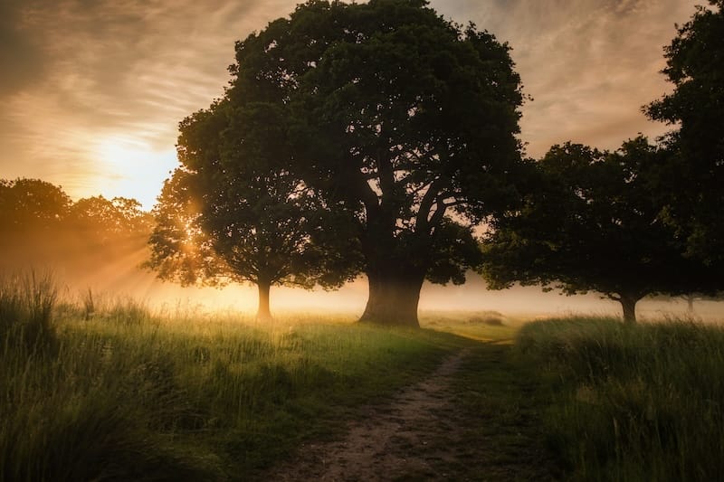 Commitment Course: Sleep & Mindfulness