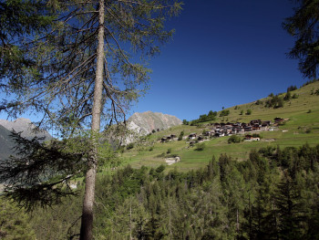 Environnement - Montagne Alternative